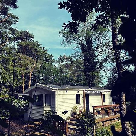 Knus Chalet Midden In De Bossen Nunspeet Ngoại thất bức ảnh