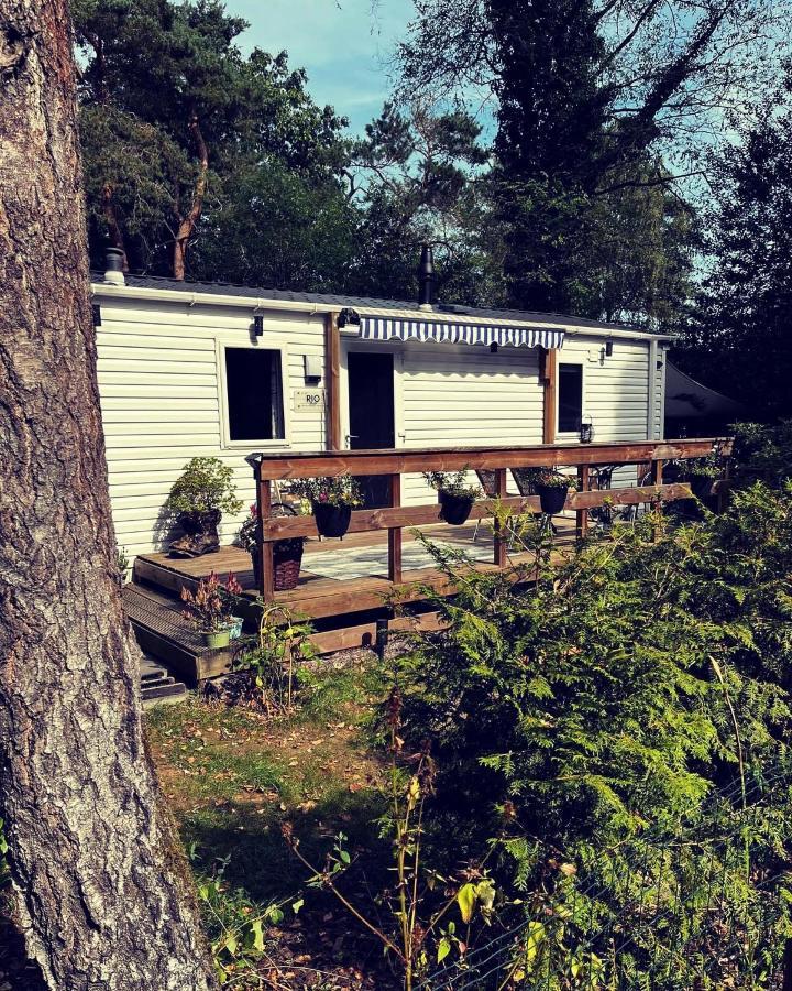 Knus Chalet Midden In De Bossen Nunspeet Ngoại thất bức ảnh