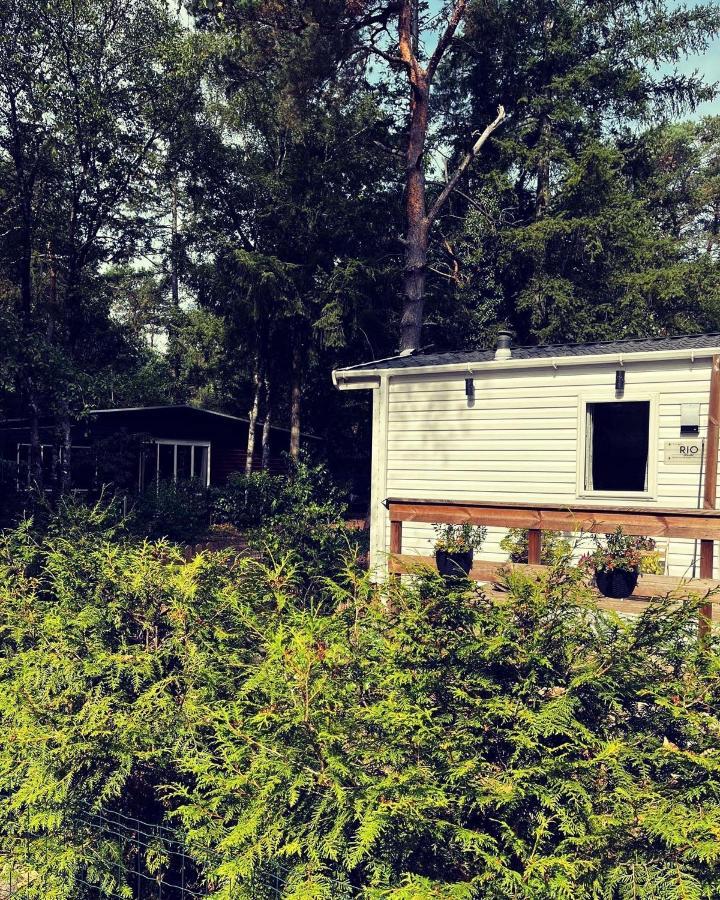 Knus Chalet Midden In De Bossen Nunspeet Ngoại thất bức ảnh