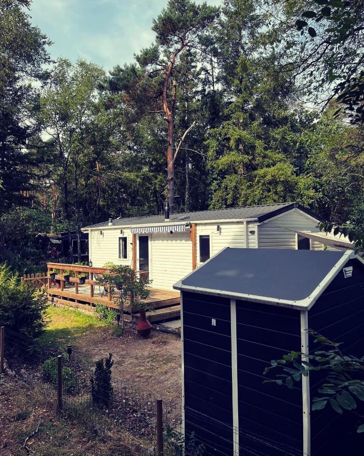 Knus Chalet Midden In De Bossen Nunspeet Ngoại thất bức ảnh
